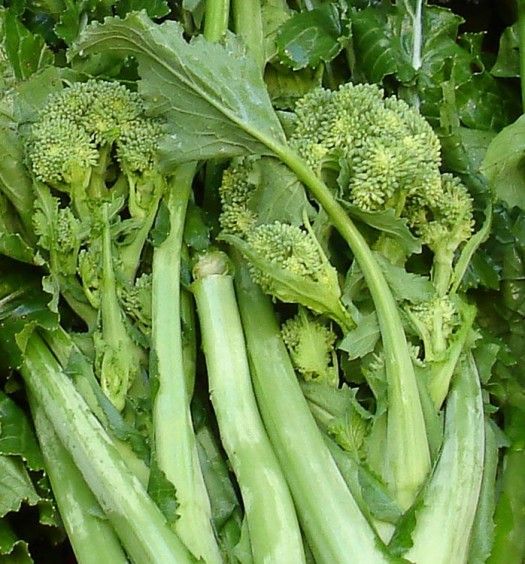 cime di rapa